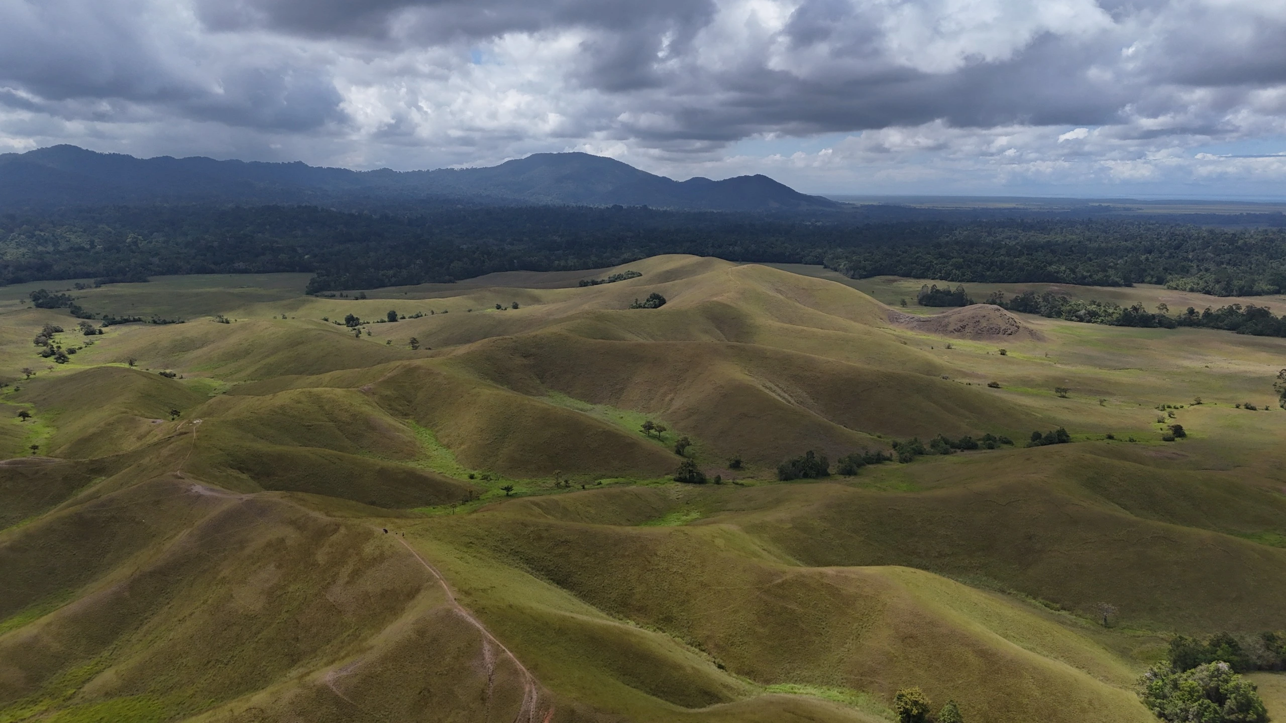 Pemandangan Bukit Modus Taman Nasional Rawa Aopa Watumohai